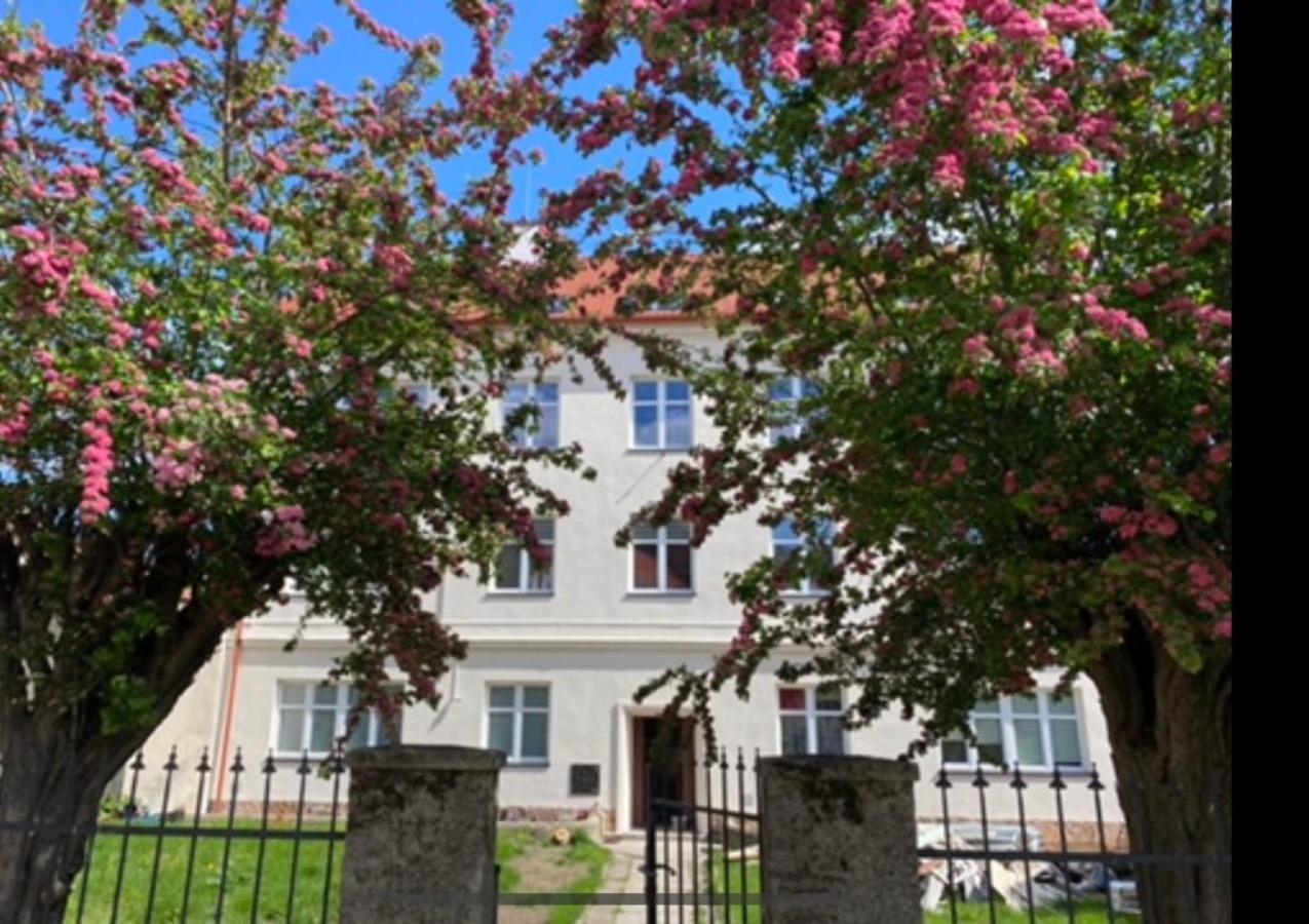 Ferienwohnung Apartament 3 Pokojowy Z Parkingiem Zabkowice Slaskie Exterior foto